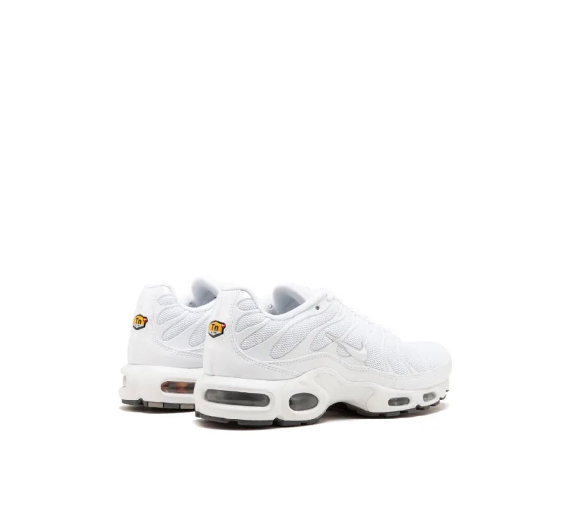 NIKE AIR MAX PLUS (TN)
