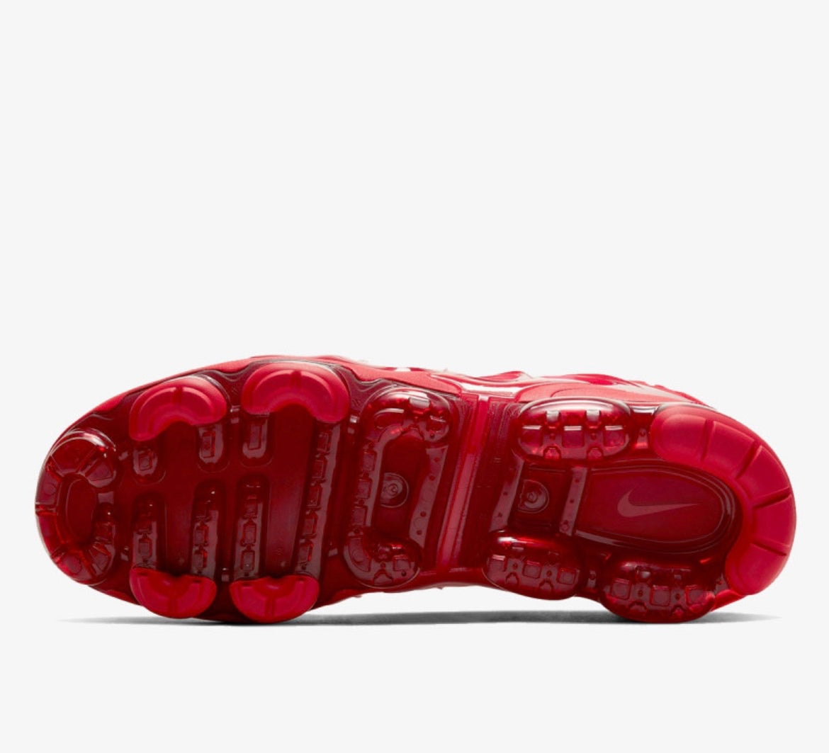 NIKE AIR VAPORMAX PLUS